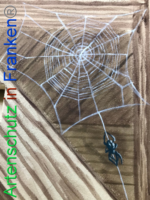 © Artenschutz in Franken® Bild zum Eintrag (1069709-160)