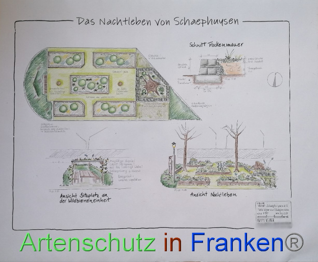 © Artenschutz in Franken® / Britta Kleiber Bild zum Eintrag (1069869-160)