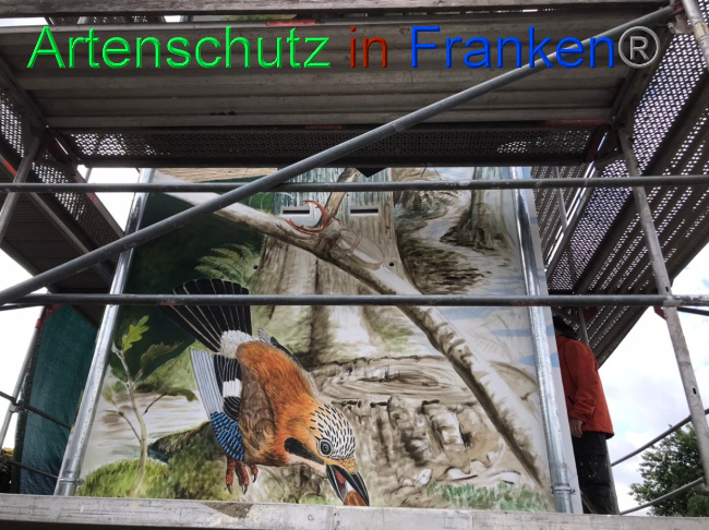 © Artenschutz in Franken® Bild zum Eintrag (1069894-160)
