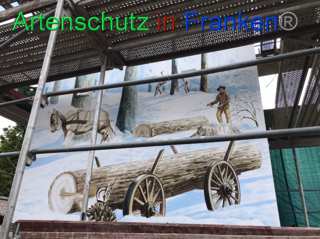 © Artenschutz in Franken® Bild zum Eintrag (1069895-160)