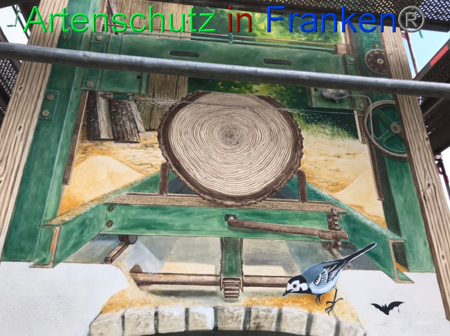 © Artenschutz in Franken® Bild zum Eintrag (1069897-160)