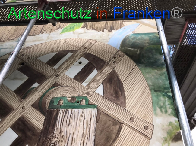 © Artenschutz in Franken® Bild zum Eintrag (1069898-160)