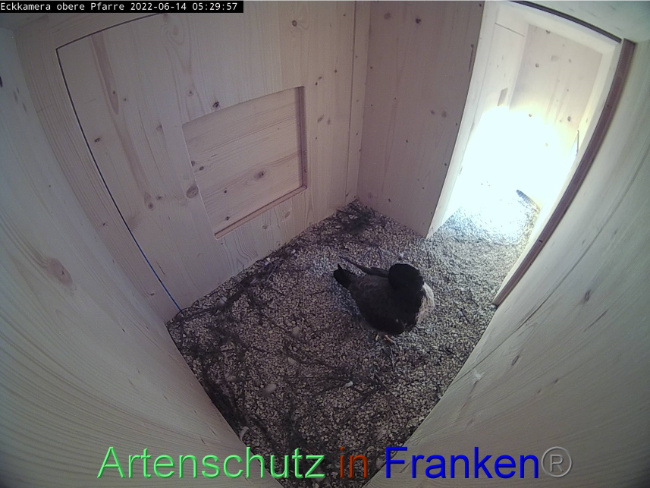 Bild zum Eintrag (1070016-160)