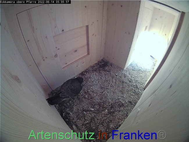 Bild zum Eintrag (1070017-160)
