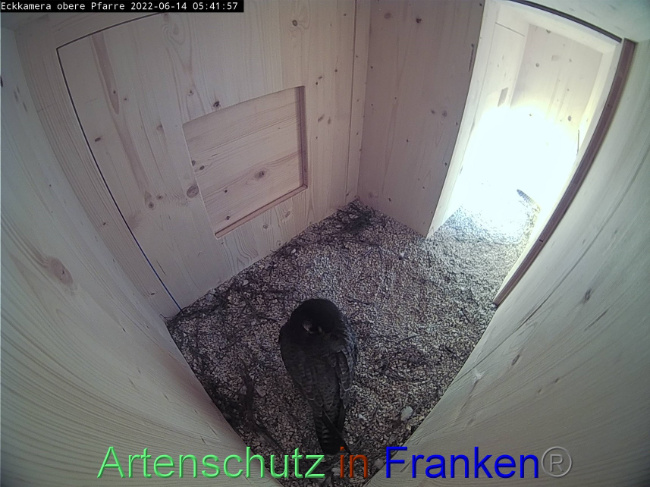 Bild zum Eintrag (1070018-160)