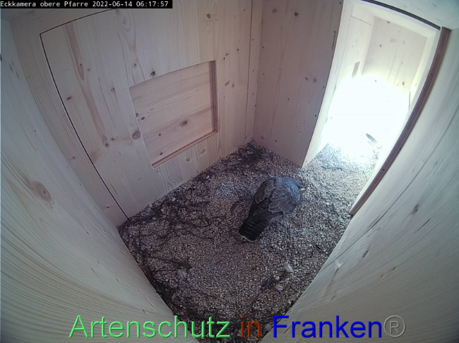 Bild zum Eintrag (1070019-160)