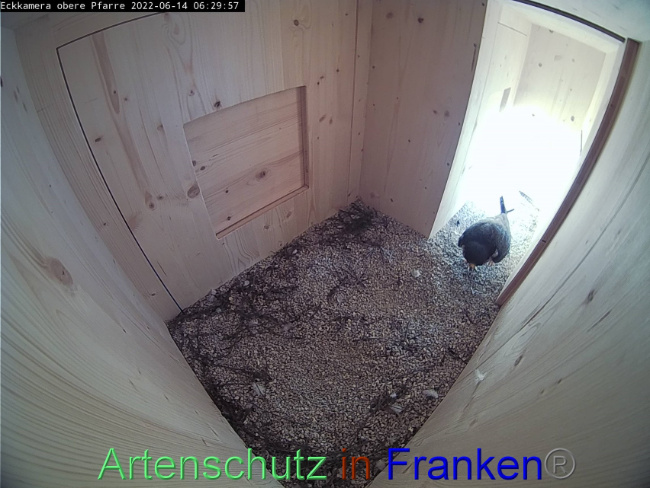 Bild zum Eintrag (1070020-160)