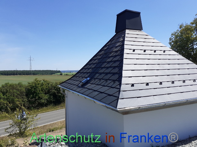 © Artenschutz in Franken® Bild zum Eintrag (1070070-160)