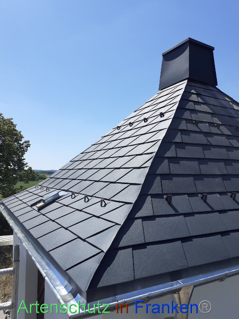 © Artenschutz in Franken® Bild zum Eintrag (1070075-160)