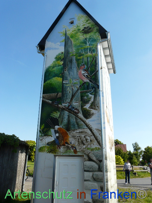 © Artenschutz in Franken® / Oberschmidt Bild zum Eintrag (1070083-160)
