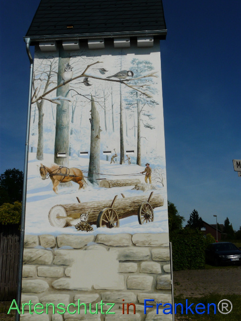 © Artenschutz in Franken® / Oberschmidt Bild zum Eintrag (1070084-160)