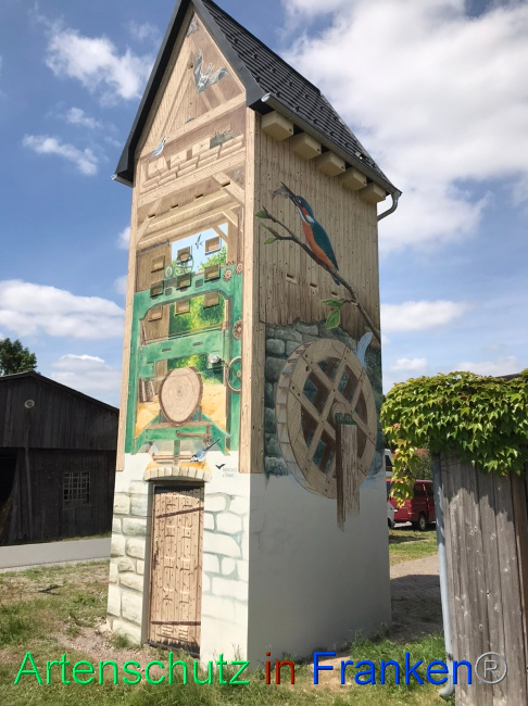 © Artenschutz in Franken® Bild zum Eintrag (1070101-160)