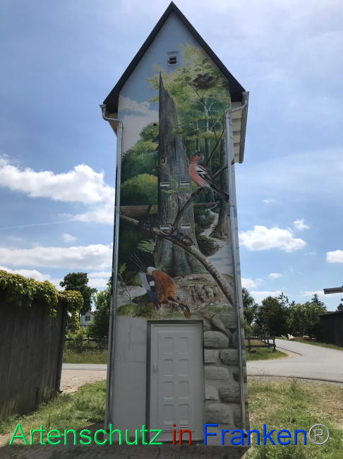 © Artenschutz in Franken® Bild zum Eintrag (1070104-160)