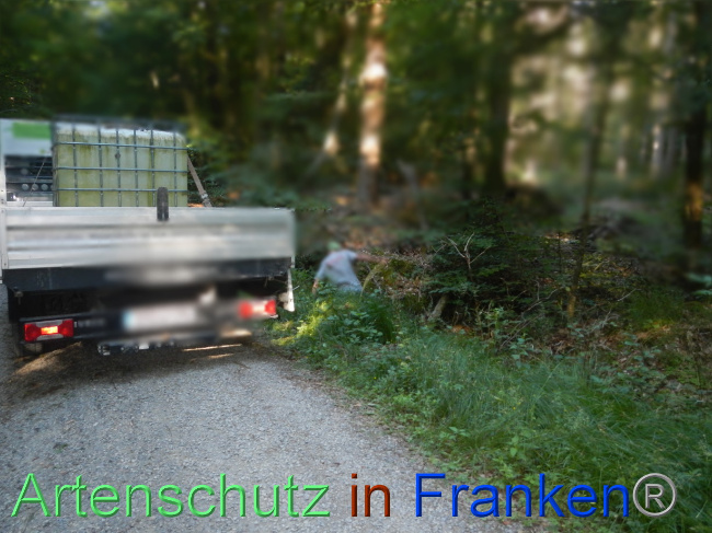© Artenschutz in Franken® Bild zum Eintrag (1070120-160)