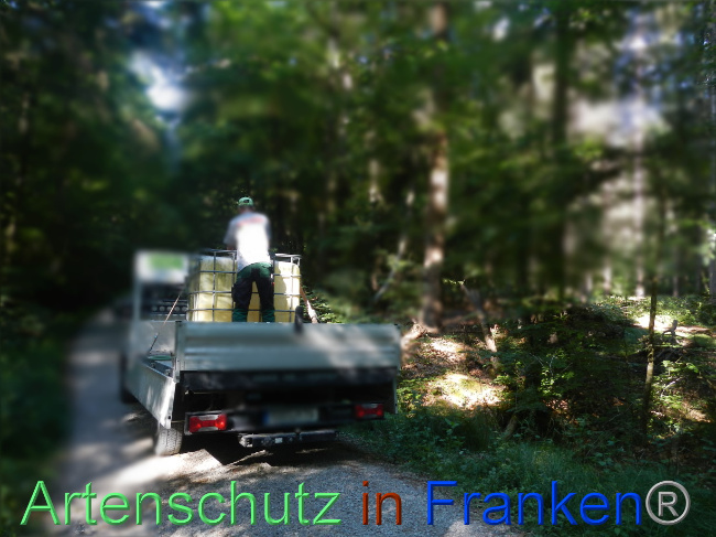© Artenschutz in Franken® Bild zum Eintrag (1070121-160)
