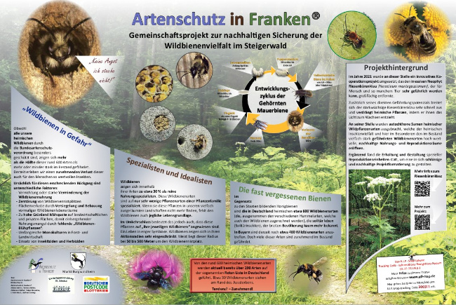 © Artenschutz in Franken® Bild zum Eintrag (1070306-160)
