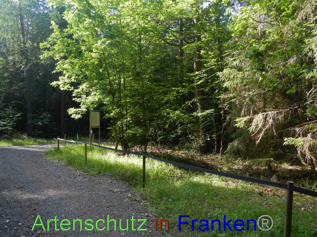 © Artenschutz in Franken® Bild zum Eintrag (1070309-160)