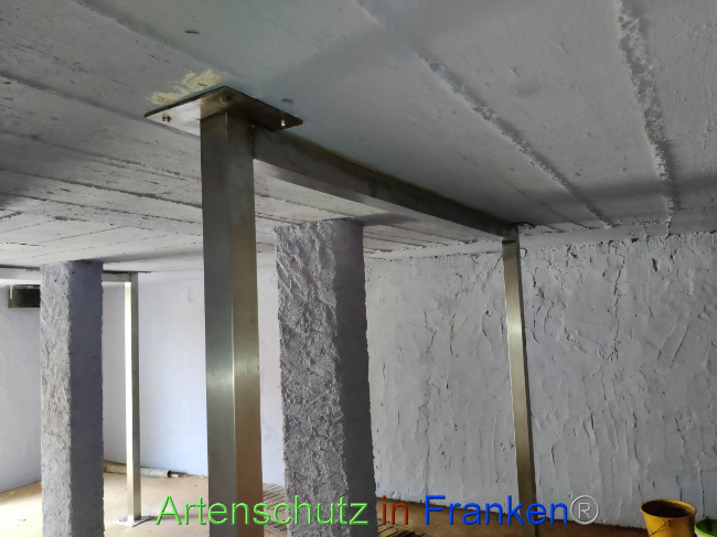 © Artenschutz in Franken® Bild zum Eintrag (1070706-160)