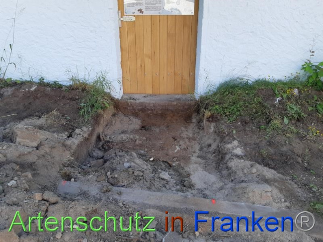 © Artenschutz in Franken® Bild zum Eintrag (1070708-160)