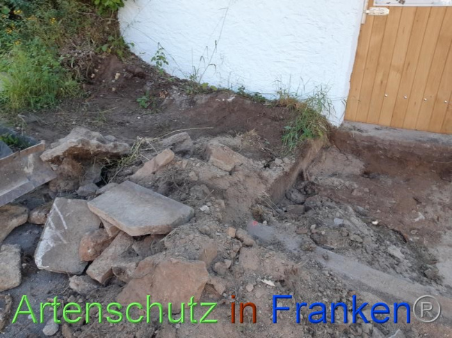 © Artenschutz in Franken® Bild zum Eintrag (1070709-160)