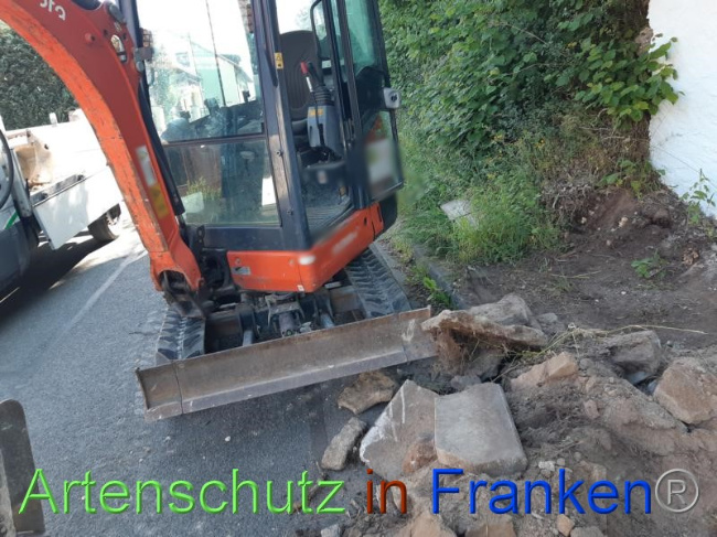 © Artenschutz in Franken® Bild zum Eintrag (1070710-160)