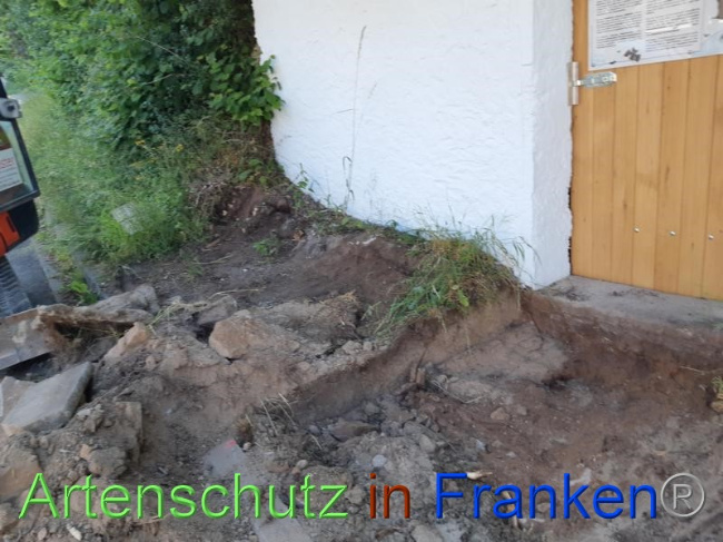 © Artenschutz in Franken® Bild zum Eintrag (1070712-160)