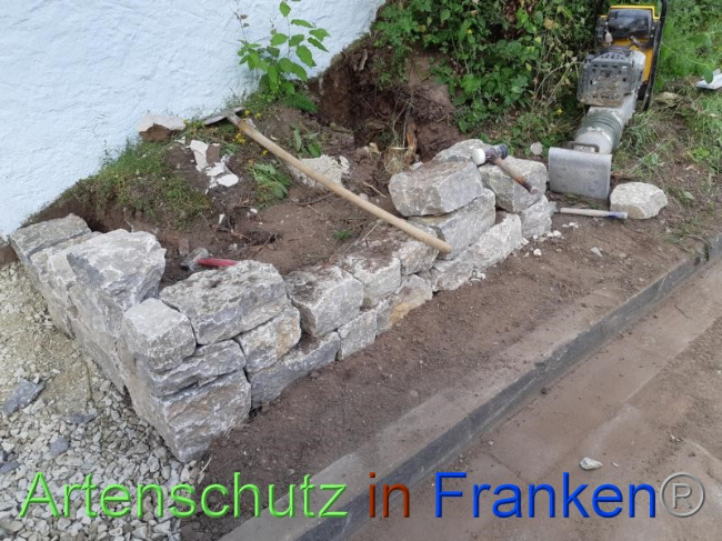 © Artenschutz in Franken® Bild zum Eintrag (1070724-160)