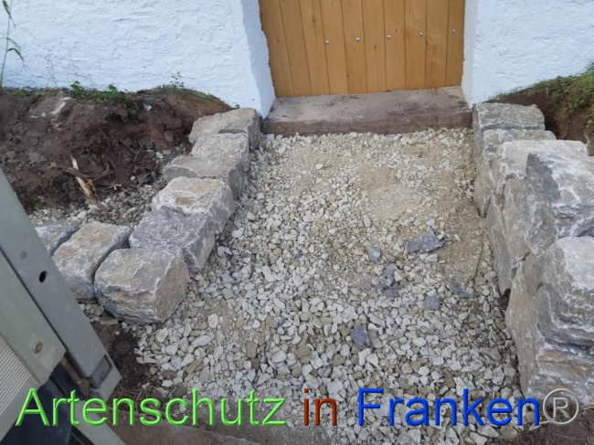 © Artenschutz in Franken® Bild zum Eintrag (1070725-160)