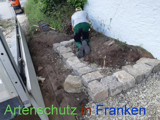 © Artenschutz in Franken® Bild zum Eintrag (1070726-160)
