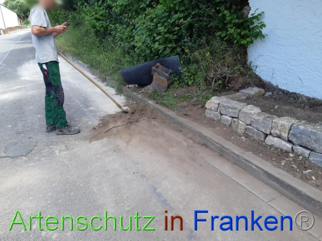 © Artenschutz in Franken® Bild zum Eintrag (1070732-160)