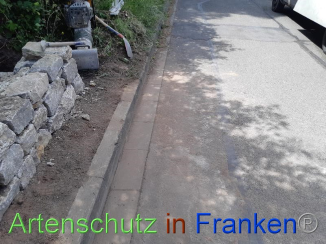 © Artenschutz in Franken® Bild zum Eintrag (1070733-160)