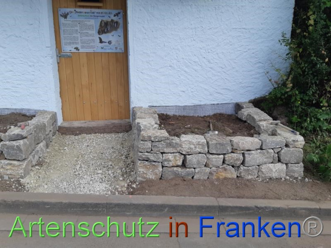© Artenschutz in Franken® Bild zum Eintrag (1070734-160)