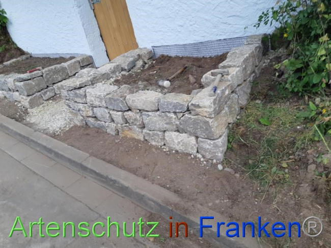 © Artenschutz in Franken® Bild zum Eintrag (1070737-160)