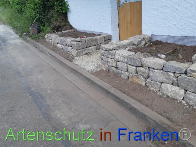 © Artenschutz in Franken® Bild zum Eintrag (1070738-160)