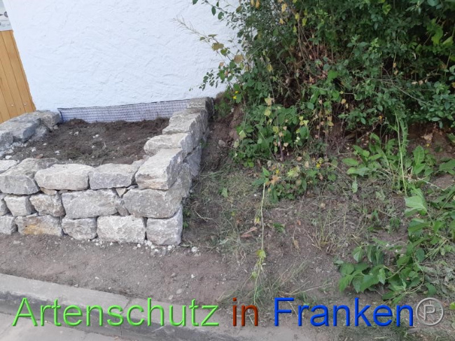 Bild zum Eintrag (1070742-160)