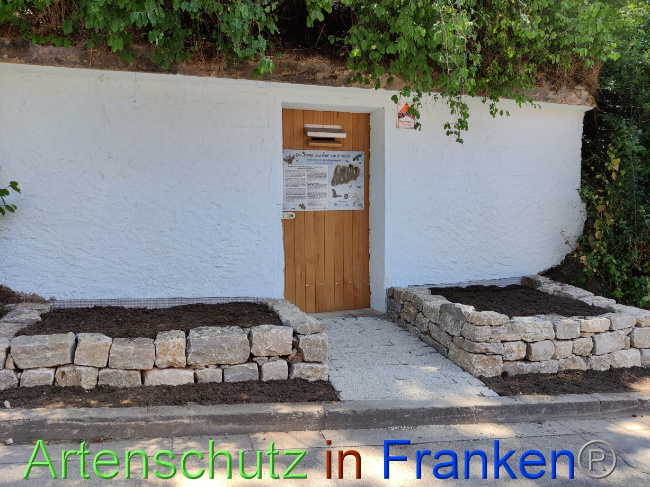 © Artenschutz in Franken® Bild zum Eintrag (1070750-160)