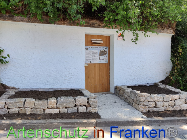 © Artenschutz in Franken® Bild zum Eintrag (1070752-160)