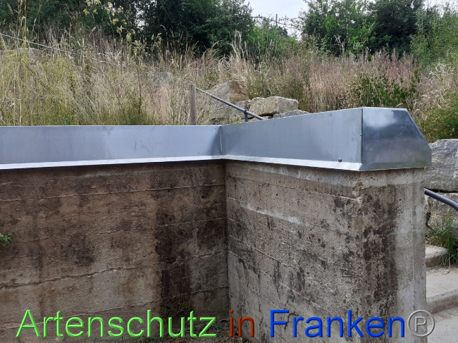 © Artenschutz in Franken® Bild zum Eintrag (1070764-160)