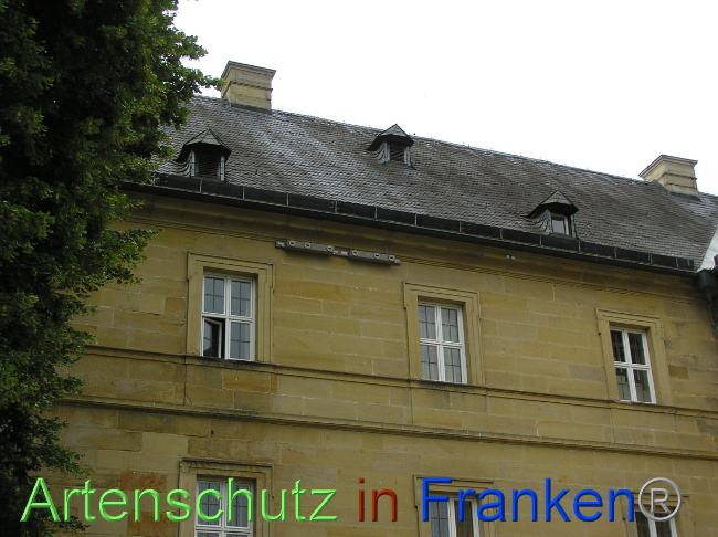 © Artenschutz in Franken® Bild zum Eintrag (1071085-160)