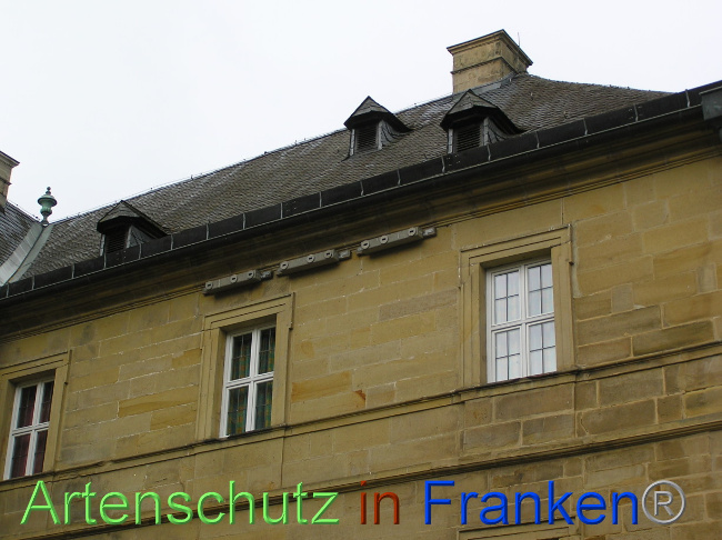 © Artenschutz in Franken® Bild zum Eintrag (1071088-160)