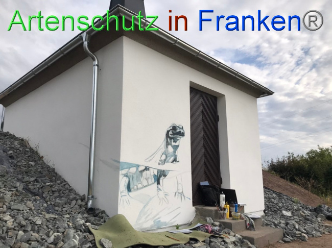 © Artenschutz in Franken® Bild zum Eintrag (1071107-160)