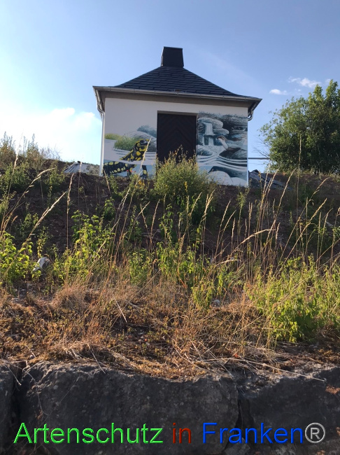 Bild zum Eintrag (1071230-160)