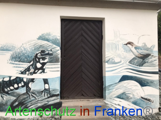Bild zum Eintrag (1071231-160)