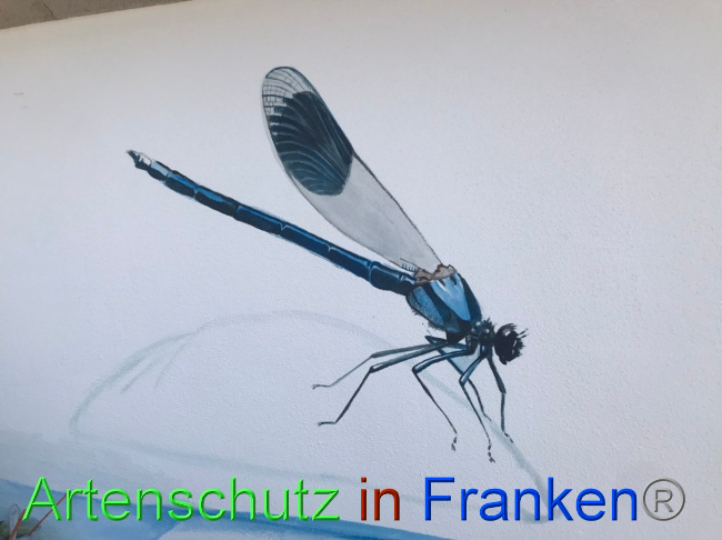 Bild zum Eintrag (1071232-160)
