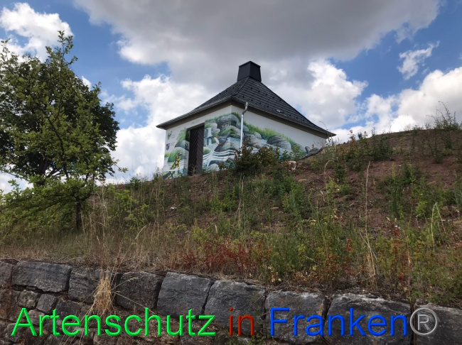 Bild zum Eintrag (1071427-160)