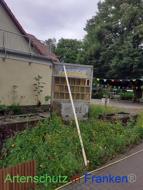 © Artenschutz in Franken® Bild zum Eintrag (1071444-160)