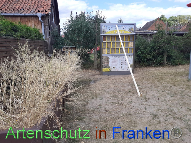 © Artenschutz in Franken® Bild zum Eintrag (1071458-160)