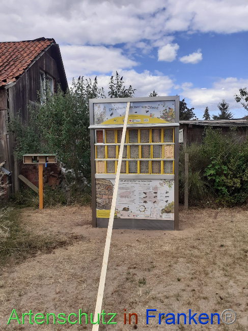 © Artenschutz in Franken® Bild zum Eintrag (1071462-160)