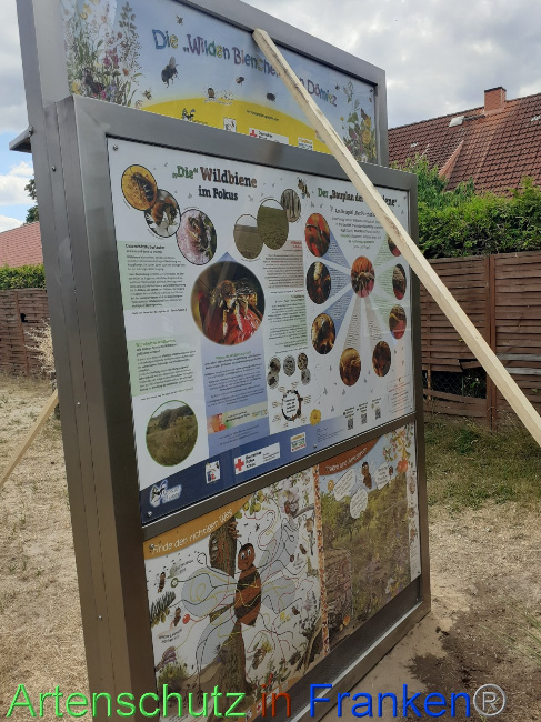 © Artenschutz in Franken® Bild zum Eintrag (1071464-160)