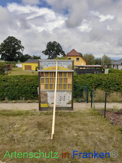 © Artenschutz in Franken® Bild zum Eintrag (1071504-160)